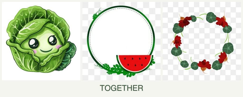 Can you plant cabbage, watermelons and nasturtiums together?