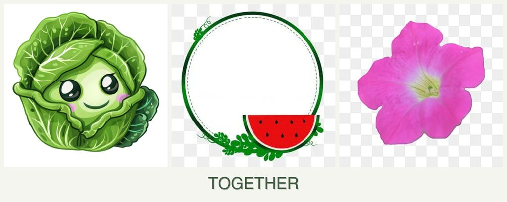 Can you plant cabbage, watermelons and petunias together?