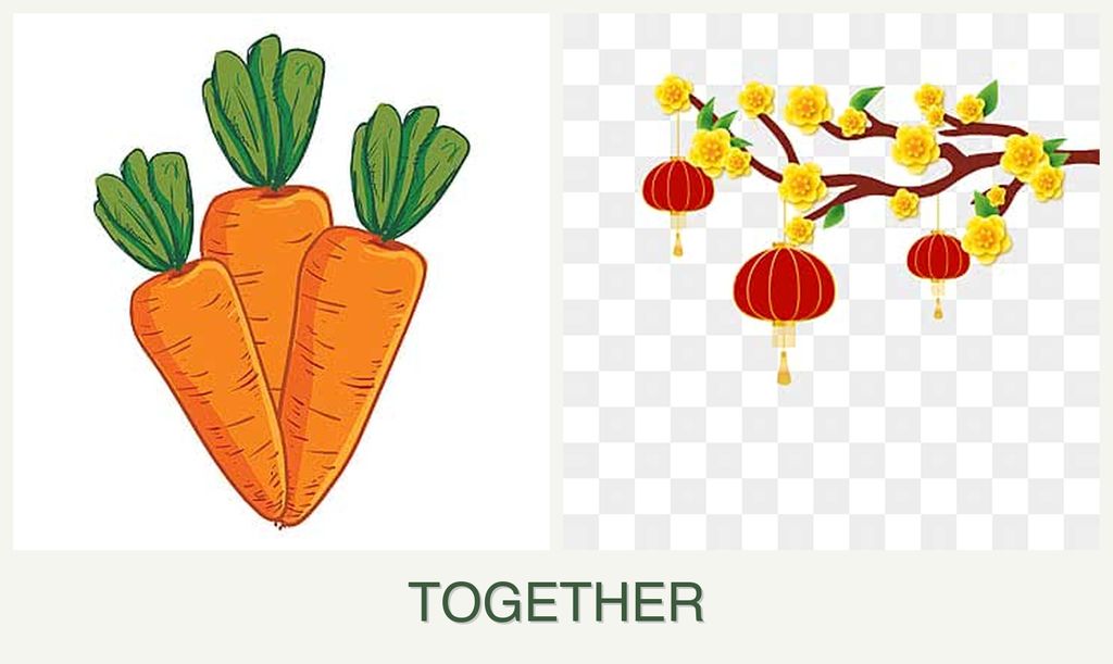 Can you plant carrots and apricots together?