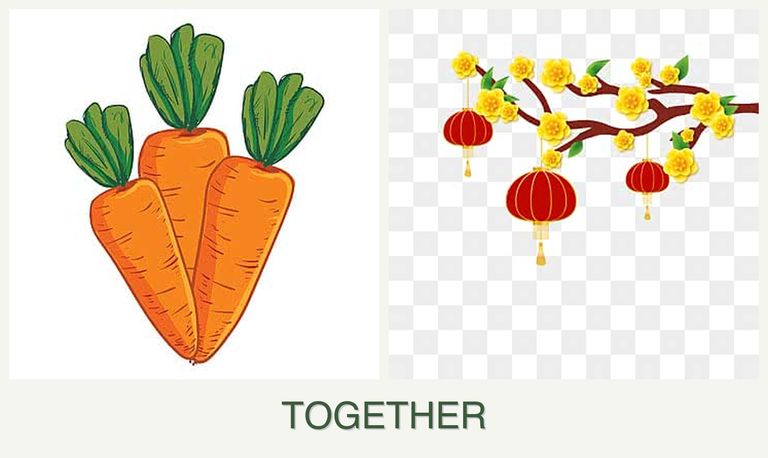 Can you plant carrots and apricots together?