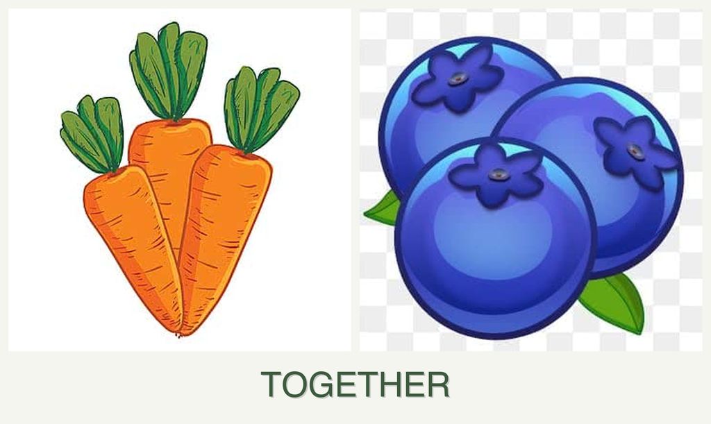 Can you plant carrots and blueberries together?