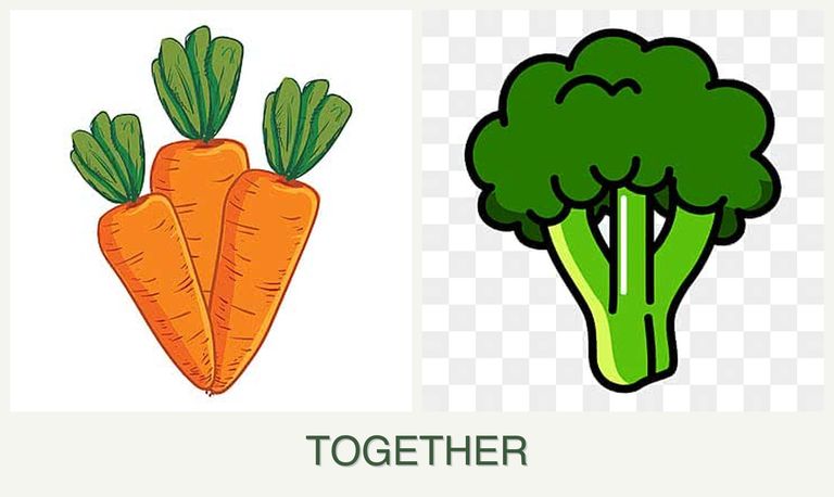 Can you plant carrots and broccoli together?