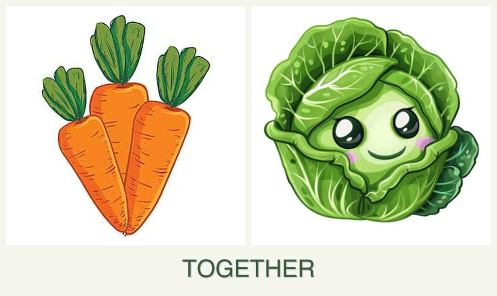 Can you plant carrots and cabbage together?
