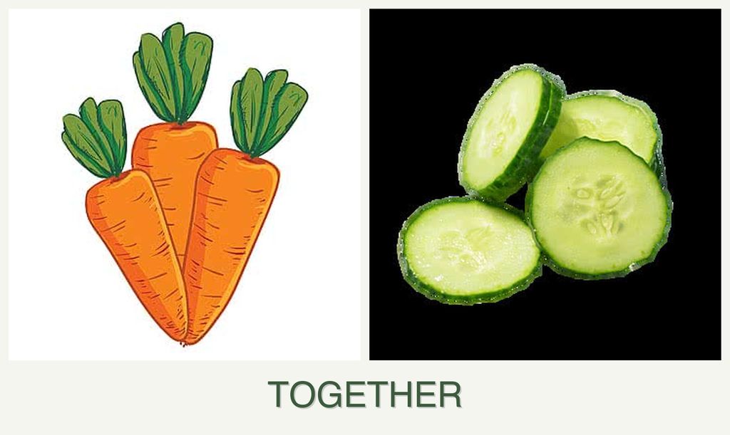 Can you plant carrots and cucumbers together?