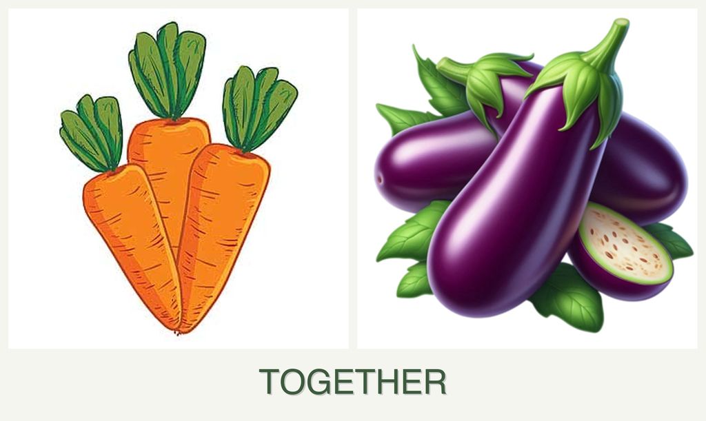 Can you plant carrots and eggplant together?