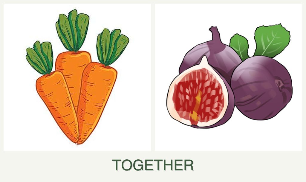 Can you plant carrots and figs together?