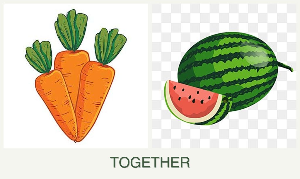 Can you plant carrots and melons together?