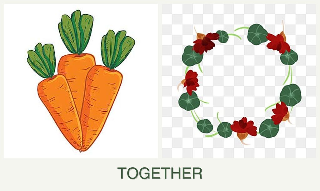 Can you plant carrots and nasturtiums together?