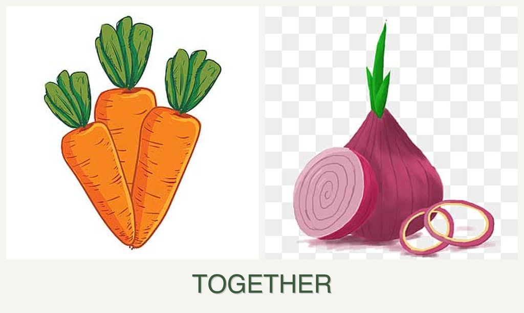 Can you plant carrots and onions together?