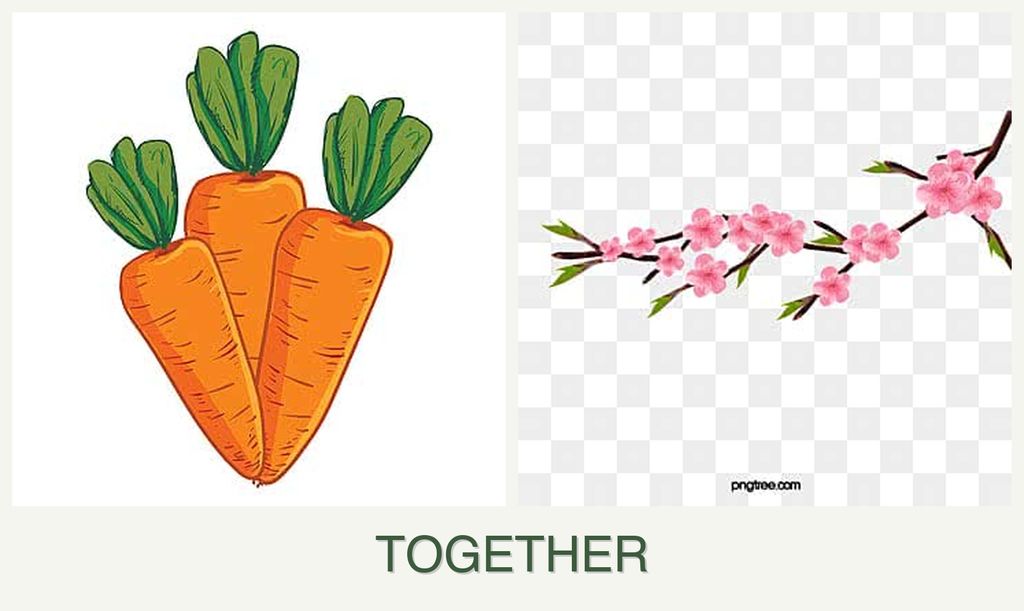 Can you plant carrots and peaches together?