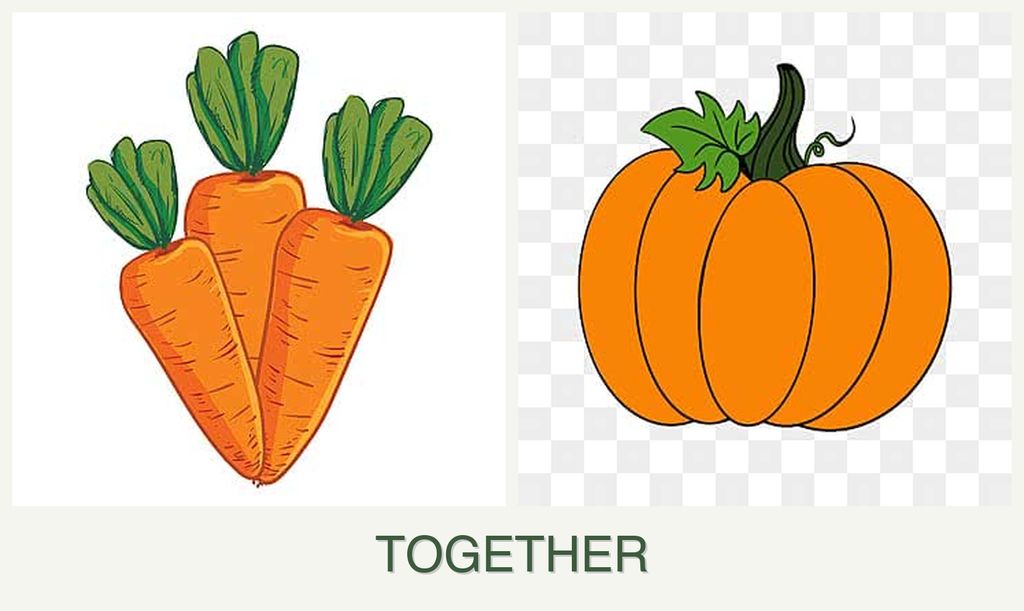 Can you plant carrots and pumpkin together?