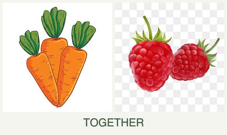 Can you plant carrots and raspberries together?