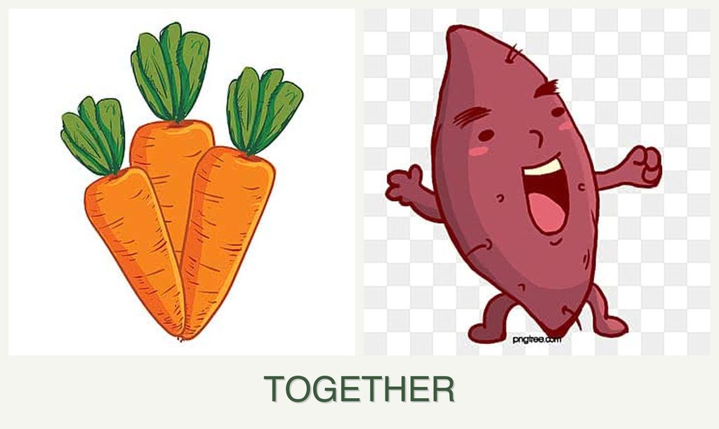 Can you plant carrots and sweet potatoes together?