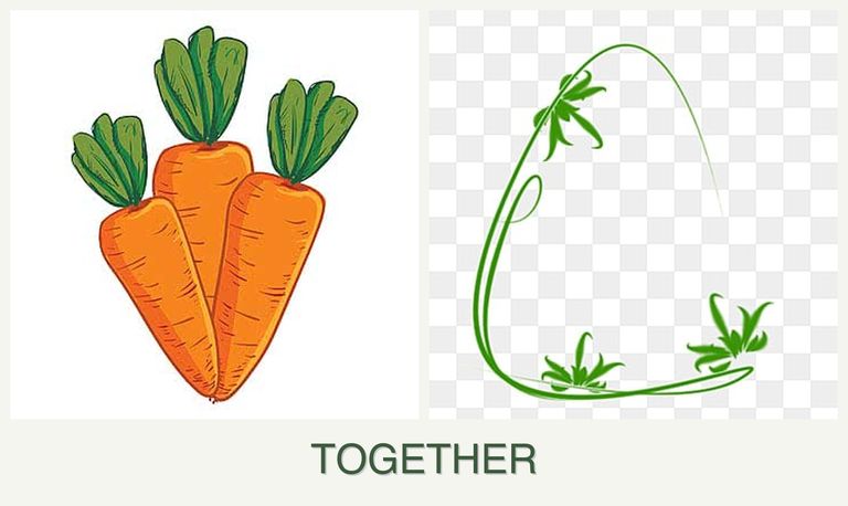 Can you plant carrots and tarragon together?