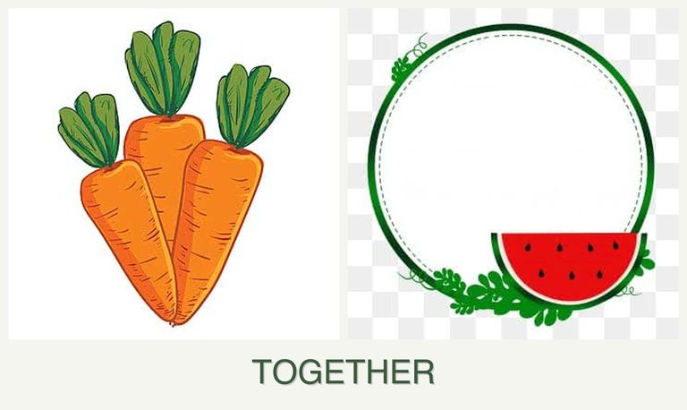Can you plant carrots and watermelons together?