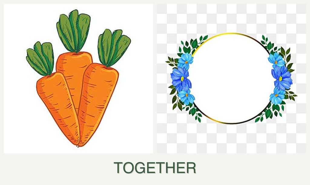 Can you plant carrots and zinnias together?