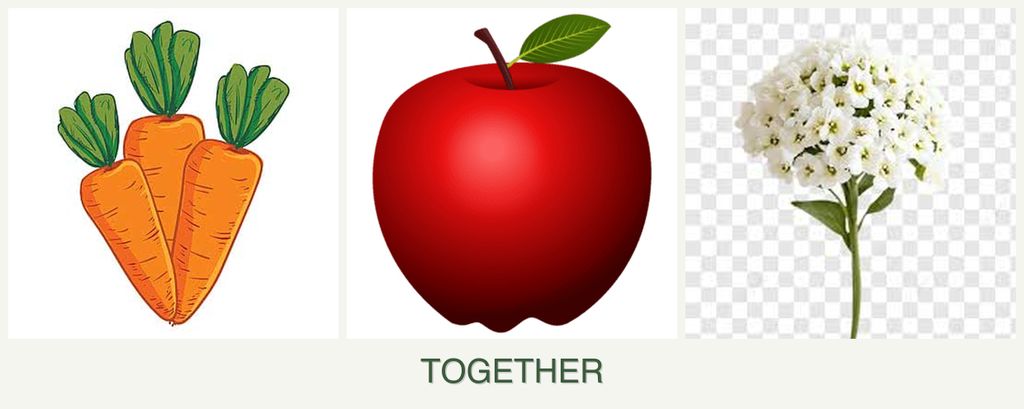 Can you plant carrots, apples and alyssum together?