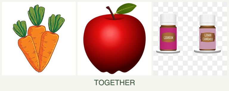 Can you plant carrots, apples and geraniums together?