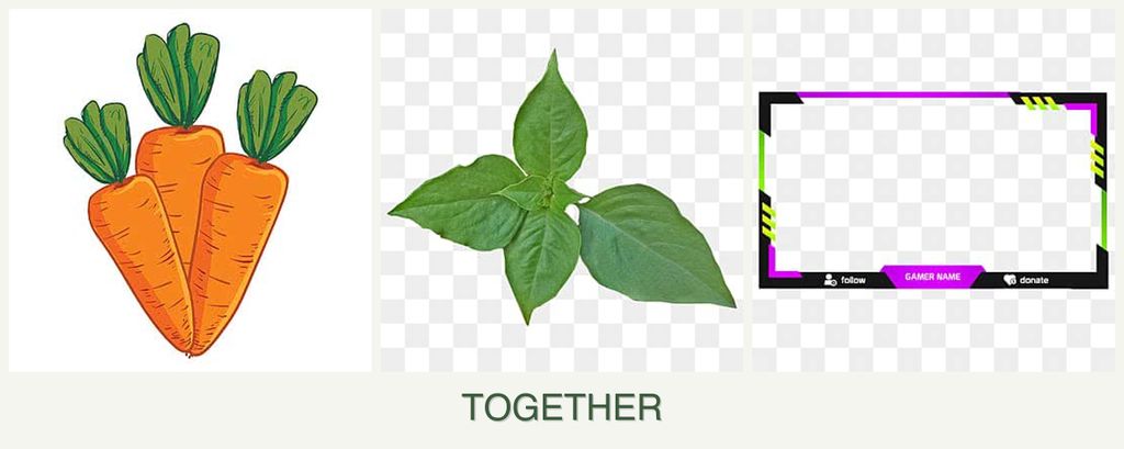 Can you plant carrots, basil and limes together?