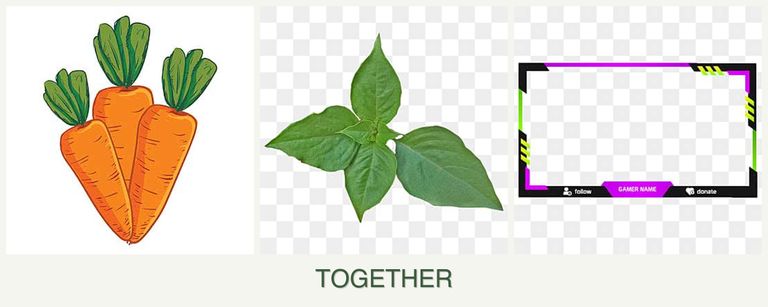 Can you plant carrots, basil and limes together?