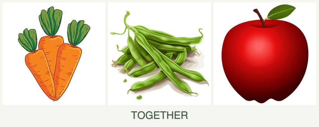 Can you plant carrots, beans and apples together?