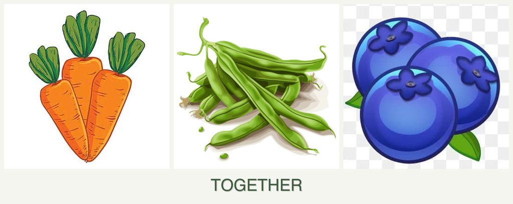 Can you plant carrots, beans and blueberries together?