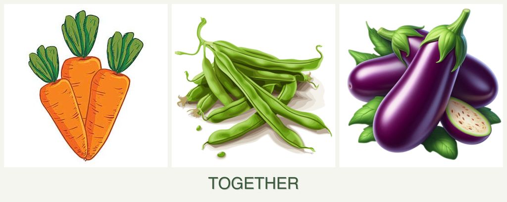 Can you plant carrots, beans and eggplant together?