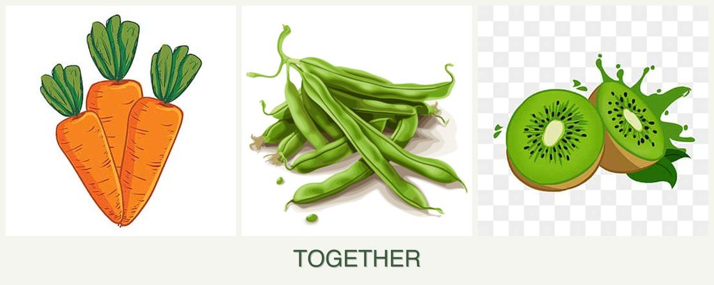 Can you plant carrots, beans and kiwi together?