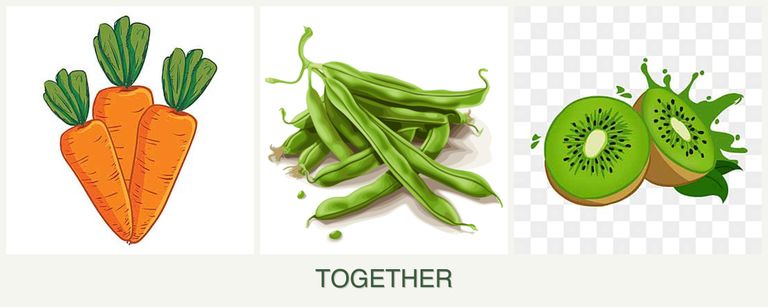 Can you plant carrots, beans and kiwi together?