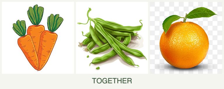 Can you plant carrots, beans and oranges together?