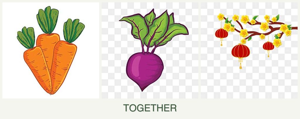 Can you plant carrots, beets and apricots together?