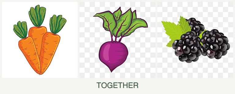Can you plant carrots, beets and blackberries together?