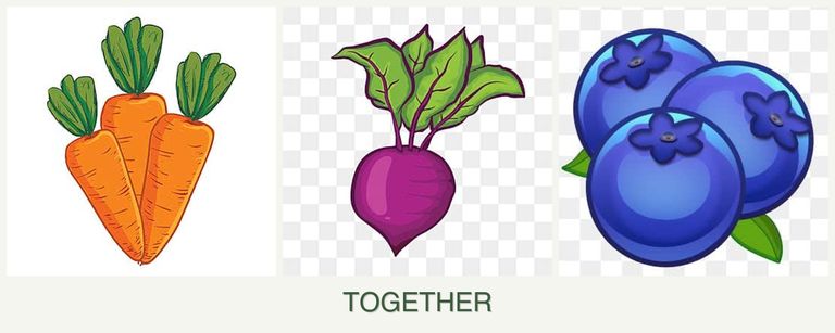 Can you plant carrots, beets and blueberries together?