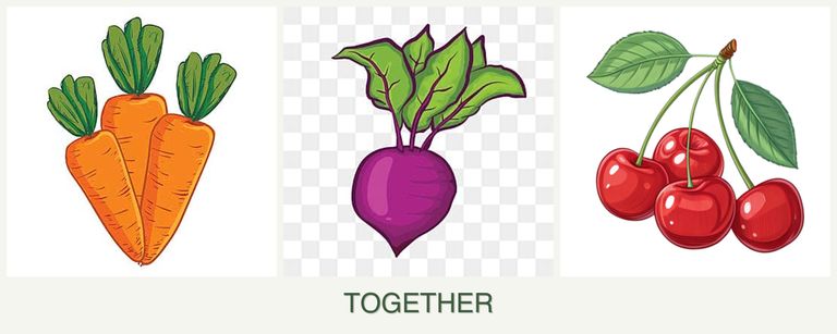 Can you plant carrots, beets and cherries together?