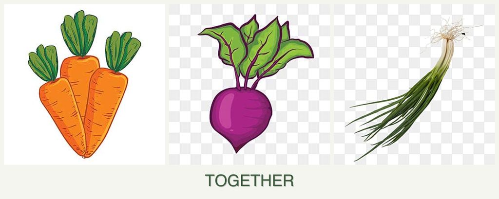 Can you plant carrots, beets and chives together?