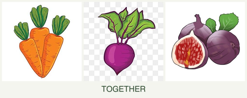 Can you plant carrots, beets and figs together?