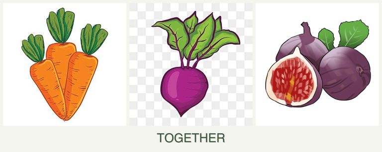 Can you plant carrots, beets and figs together?