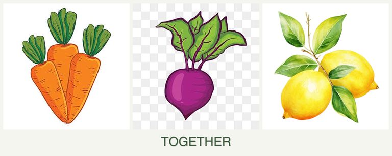 Can you plant carrots, beets and lemons together?