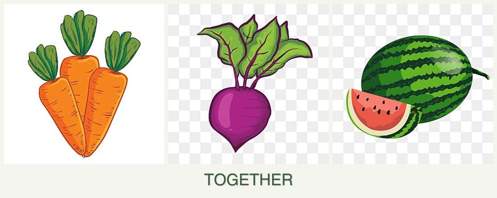 Can you plant carrots, beets and melons together?