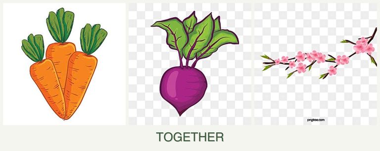 Can you plant carrots, beets and peaches together?