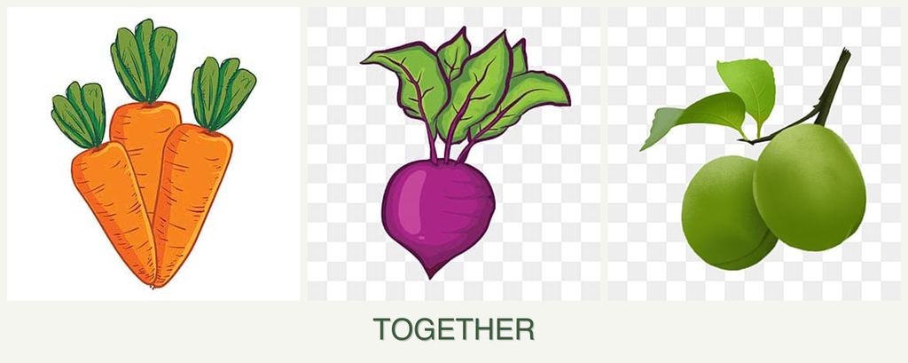 Can you plant carrots, beets and plums together?