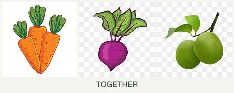 Can you plant carrots, beets and plums together?