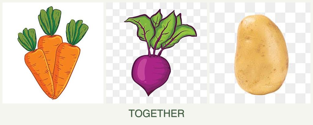Can you plant carrots, beets and potatoes together?