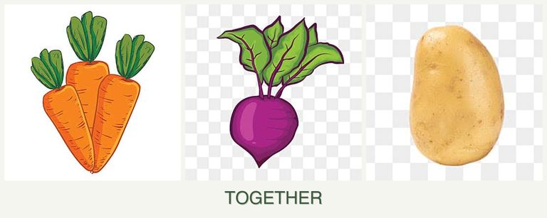 Can you plant carrots, beets and potatoes together?