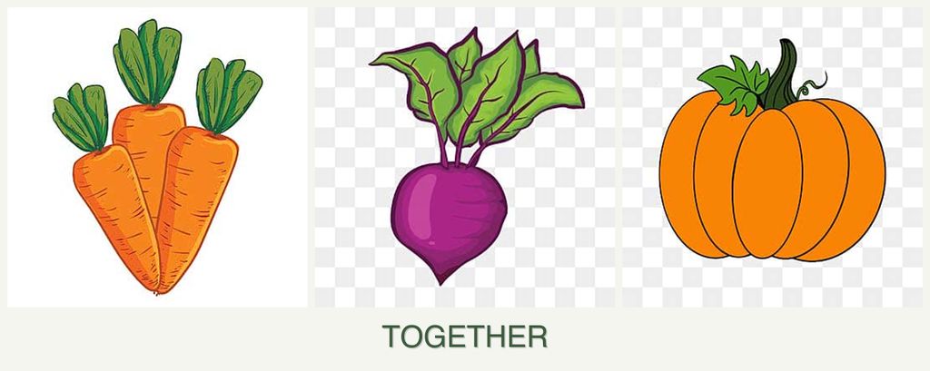 Can you plant carrots, beets and pumpkin together?