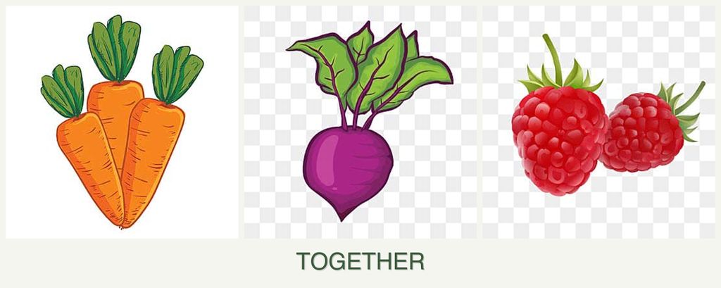 Can you plant carrots, beets and raspberries together?