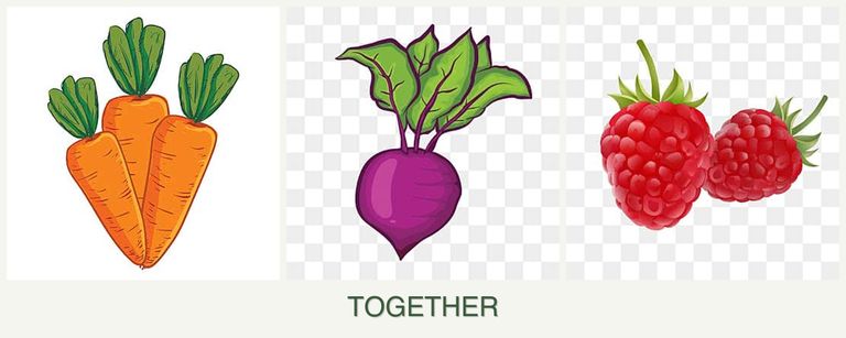 Can you plant carrots, beets and raspberries together?