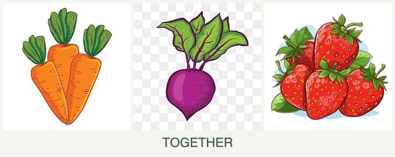 Can you plant carrots, beets and strawberries together?