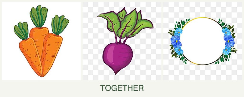 Can you plant carrots, beets and zinnias together?