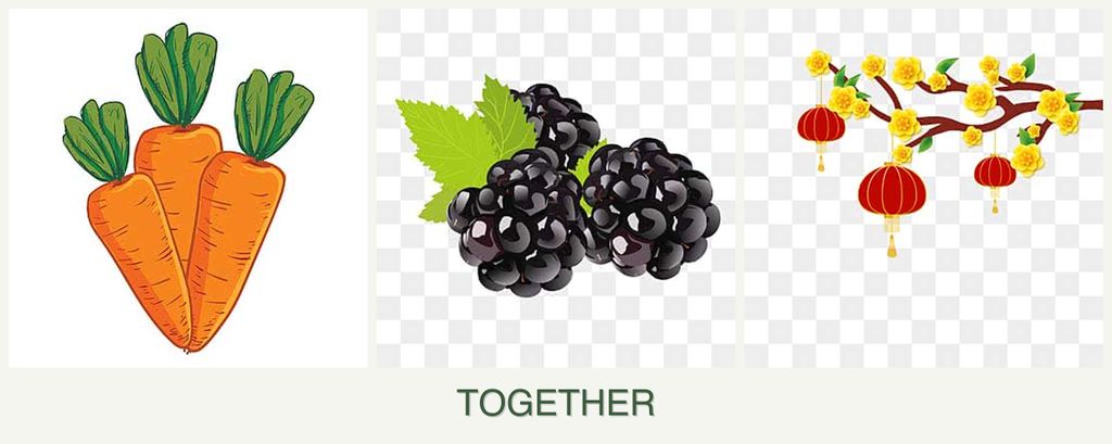 Can you plant carrots, blackberries and apricots together?